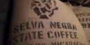 Fair Trade Coffee from Selva Negra