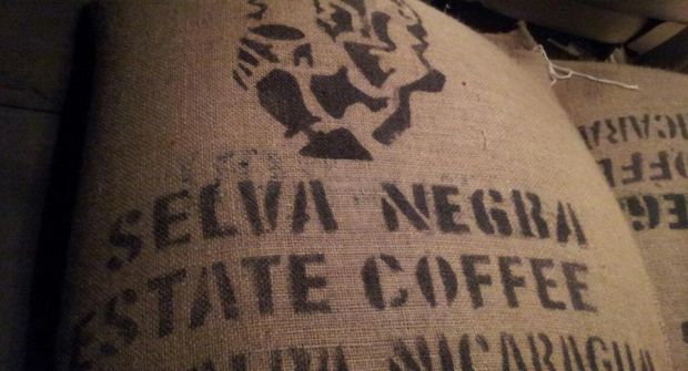 Fair Trade Coffee from Selva Negra